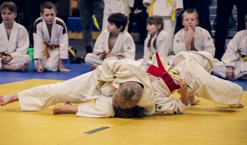 Judo Ouchi-gari